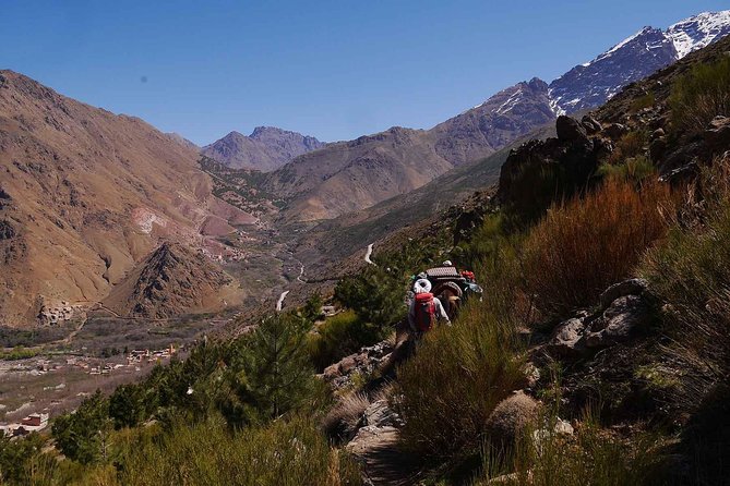 Imlil a Day Trek to the High Atlas Mountains - Tips for an Enjoyable Experience