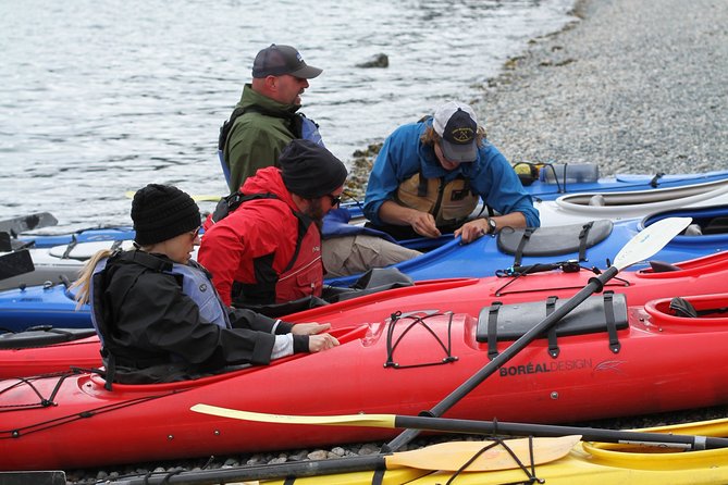 Inside Passage Sea Kayaking From Skagway - Provided Equipment and Safety