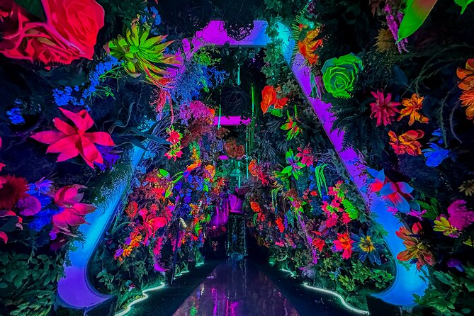 INTER Interactive Art Experience Ticket Review - Practical Tips for Visiting INTER