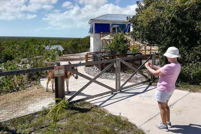 Island Tour of North and Middle Caicos W / Lunch & Drinks Included - Frequently Asked Questions