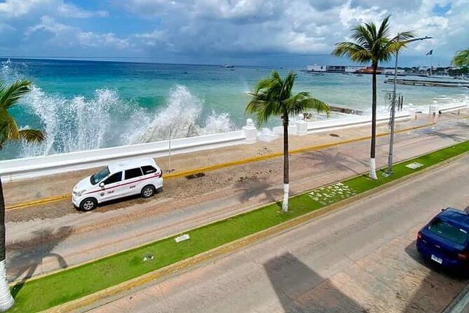 Island Tour With Private Driver - Accessibility Features