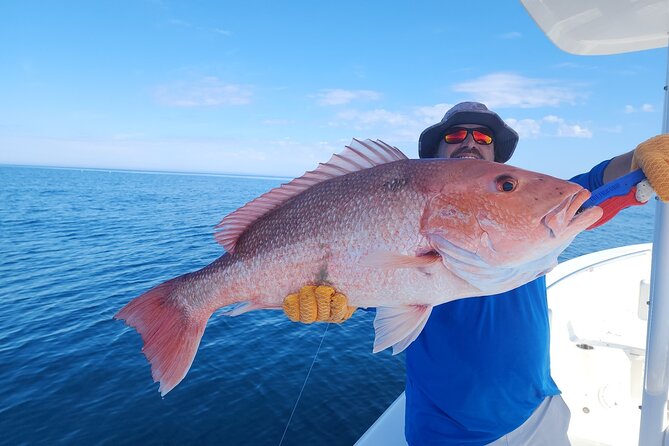 Jacksonville Private Boat Tour Daytime or Sunset, up to 6 People - Reviews and Ratings