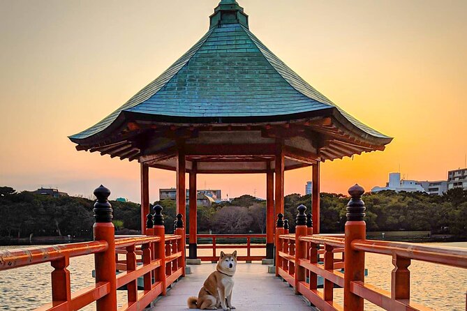 Join Fukuoka Adventure Friendly Tour With a Local Guide - Uncovering Fukuokas Hidden Gems