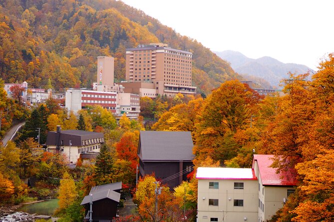 Jozankei Autumn Leaves Day Tour by Private Car - Lunch and Dining