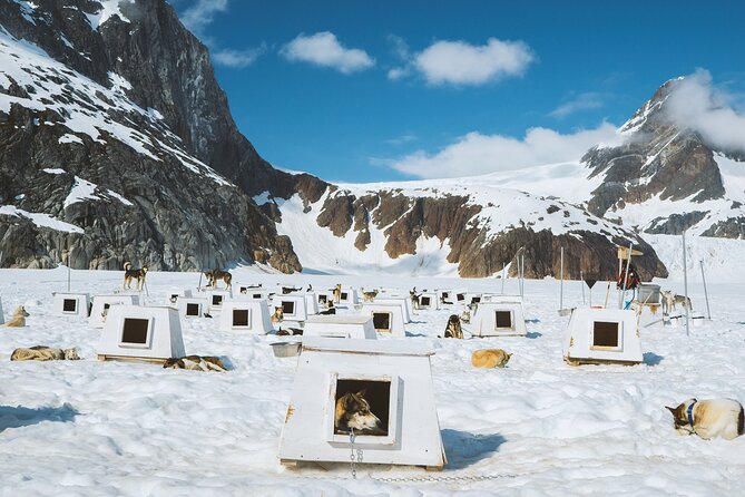 Juneau Shore Excursions: Juneau Helicopter Tour & Dogsledding Experience - Weather and Cancellation Policy