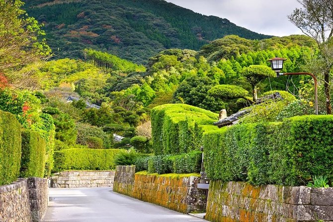 Kagoshima Full-Day Private Tour With Government-Licensed Guide - Accessibility Features