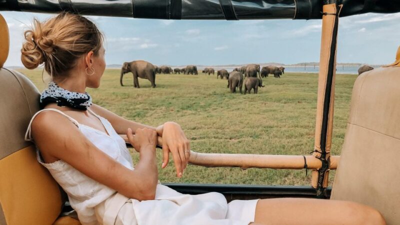 Kalutara/Bentota/Kosgoda/Ahungalla/Hikkaduwa: Yala Safari - Customer Experiences and Feedback