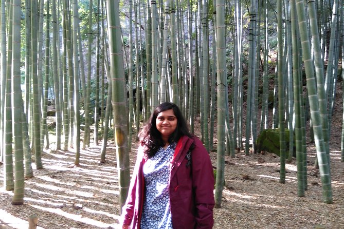 Kamakura Full Day Tour With Licensed Guide and Vehicle - Booking Information