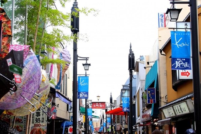 Kamakura Private Tour by Public Transportation - Customizing Your Kamakura Adventure