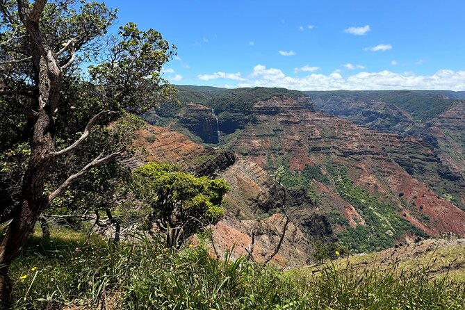 Kauai Island Tour : Journey to Waimea Canyon & More Highlights - Important Information for Travelers