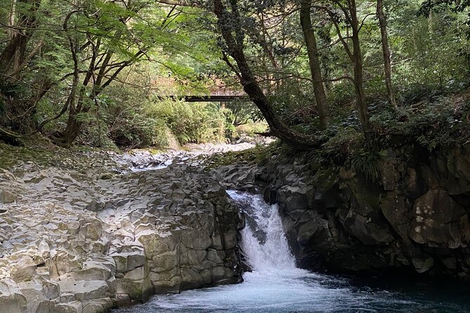 Kawazu Seven Falls Guided Tour - Guided Tour Highlights