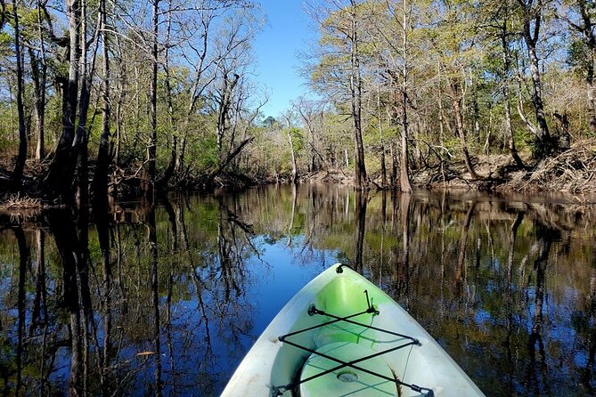 Kayak Rental on the Waccamaw River Review - Highlights of the Waccamaw River Kayaking Adventure