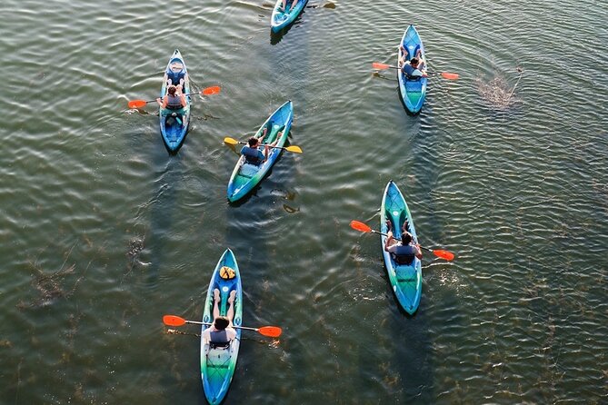 Kayak Rentals on Lady Bird Lake Review - Friendly and Helpful Staff