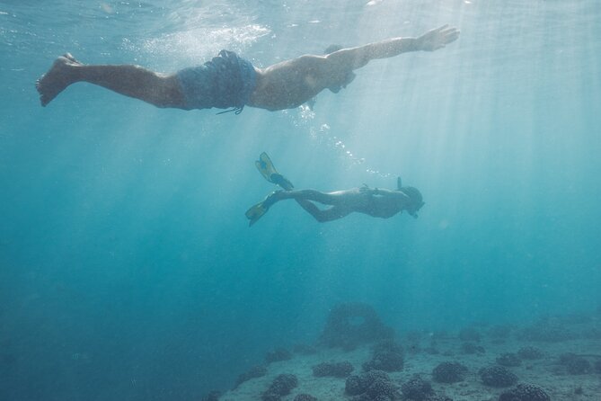 Kayak, Snorkel, and Surf With Turtles in Honolulu - Health and Safety Considerations