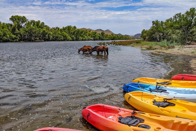 Kayaking the Salt River Foxtail Trip - Meeting Point and Check-in Procedures