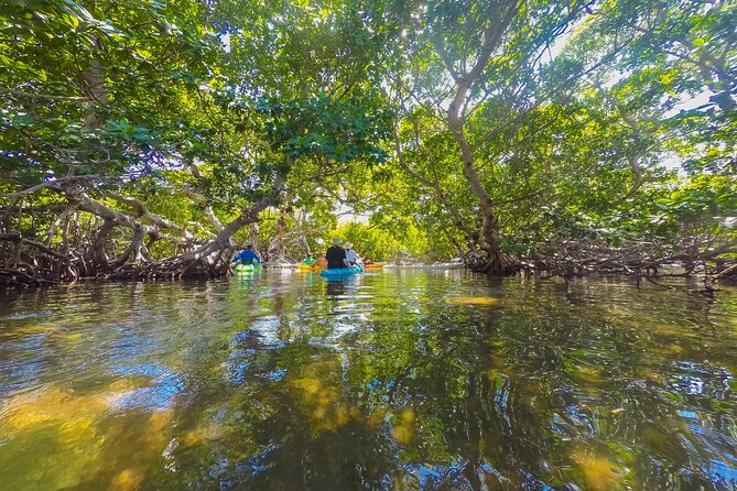 Key West Island Eco Tour With Transportation From Miami - Highlights of the Sailing Cruise