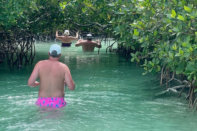Key West Kayak Eco Tour | An Eco-Friendly Adventure Awaits! - Exploring the Mangrove Waterways