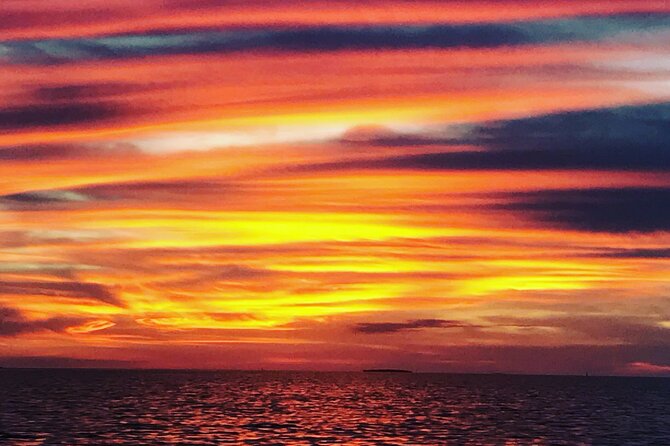 Key West Sandbar/Eco Trip Ran by Husband and Wife Naturalist Team - Convenient Meeting and Pickup Details