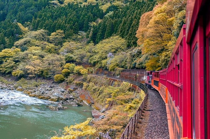 Kobe Shore Excursion to Kyoto - Traveler Reviews and Feedback