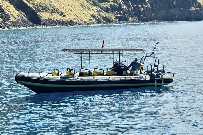 Kona Humpback Whale Watching Review - Whale Watching Experience