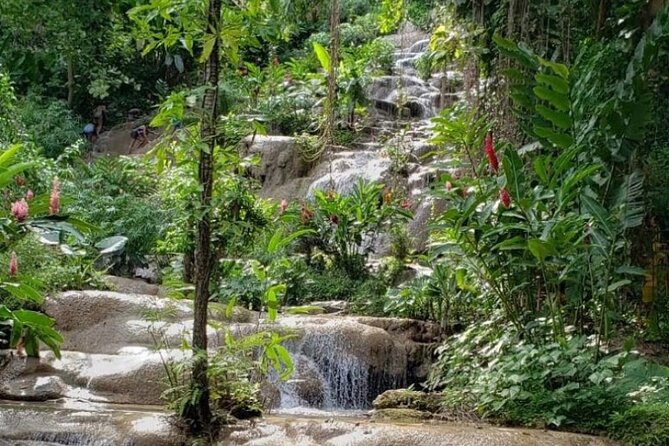 Konoko Falls and Park Private Tour - Discovering the Park