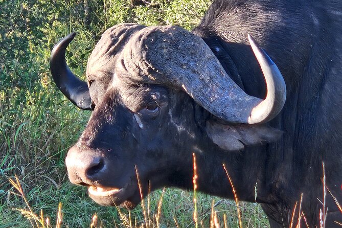 Kruger National Game Park Three Day PRIVATE Tour - Booking Process