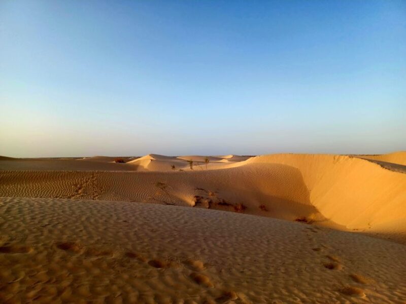 Ksar Ghilan (Oasis) One Day Tour : Starting From Djerba - Local Cuisine and Dining