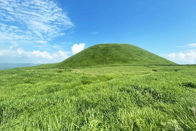 Kumamoto Castle Kusasenri Aso Crater and Aso Boys Scenic Train - Aso Boys Sightseeing Train Details