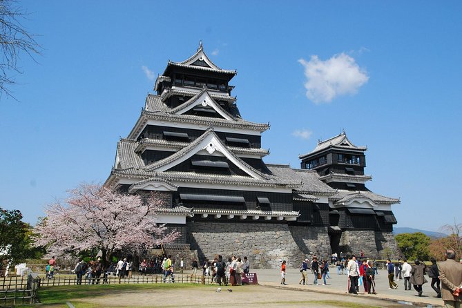 Kumamoto Private Customizable Full Day Tour - Accessibility and Accommodations