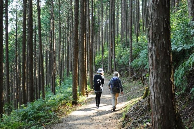 Kumano Kodo Pilgrimage Full-Day Private Trip With Government Licensed Guide - Accessibility and Participation Details