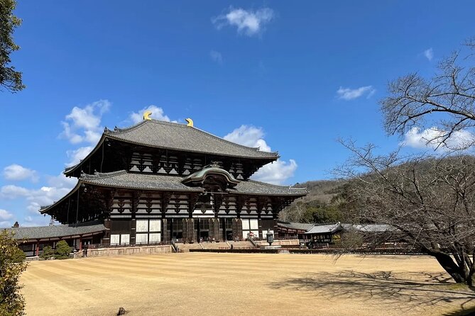 Kyoto and Nara Park One Day Tour With Lunch From Osaka/Kyoto - Transportation and Pickup Logistics