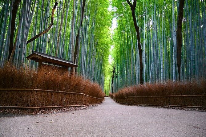 Kyoto Arashiyama: Fall Foliage Walking Tour【Autumns Limited】 - Important Information