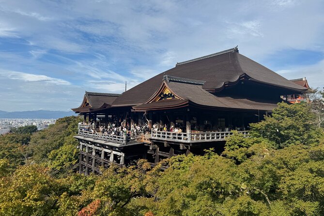 Kyoto Early Morning Tour: Top Landmarks in Half a Day - Navigating Kyotos Public Transportation