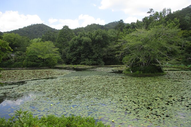 Kyoto ITALIAN GUIDE Golden Pagoda Bamboo Forest Dry Garden - Bamboo Forest