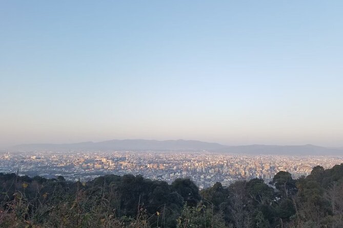 Kyoto Panorama Hike From Maruyama Park to Shogunzuka - Dietary Accommodations