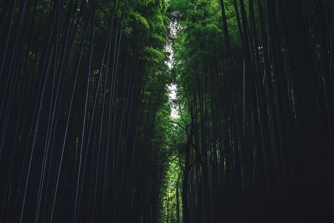 Kyoto Private Customizable Half Day Tour - Kyotos Architectural Marvels