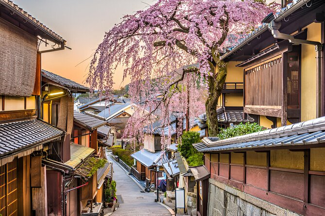 Kyoto Private Tour With Pick and Drop - Company Response and Policy