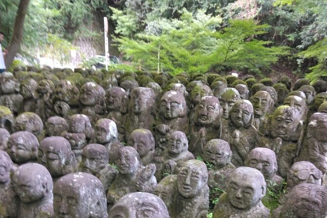 Kyoto Sakura & Hidden Gems of Timeless Tradition - Booking Information
