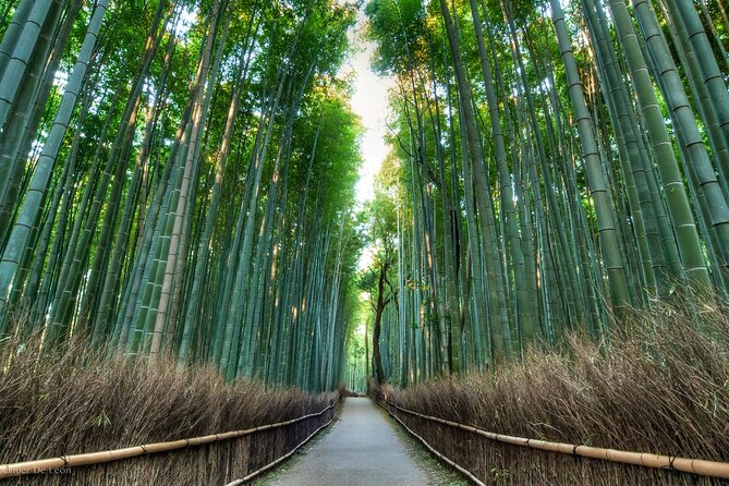Kyoto Tour With English Speaking Chauffeur - Negative Traveler Reviews