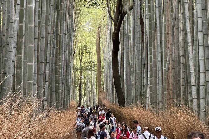 Kyoto : Treasures of Gion & Historical Walking Tour With a Guide - Customizing Your Kyoto Adventure