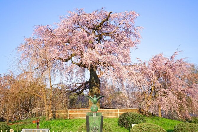 Kyoto Unveiled: A Tale of Heritage, Beauty & Spirituality - Personalized Experience With a Private Guide