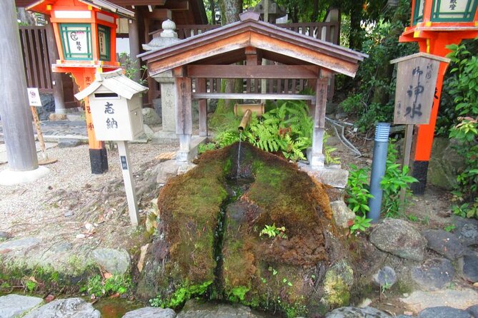 Kyoto WAKIMIZU Half Day Tour: Secrets of Matcha & Wagashi Sweets - Matcha Preparation Demonstration