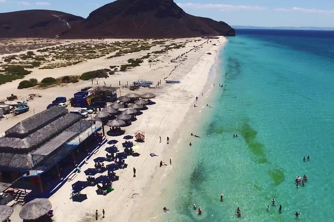 La Paz and Todos Santos City and Beaches Tour - Exploring La Paz