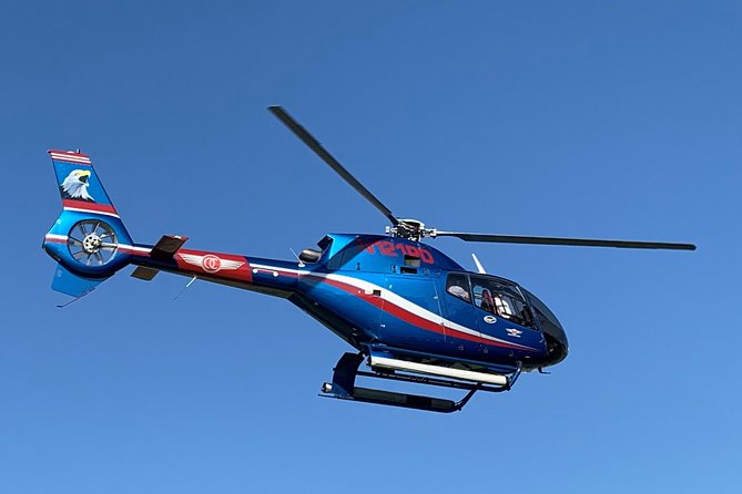 Laguna Beach Tour Review: An Aerial Adventure - Pricing and Booking Details