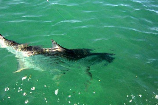 Lake Guntersville Fishing - Equipment and Gear Provided