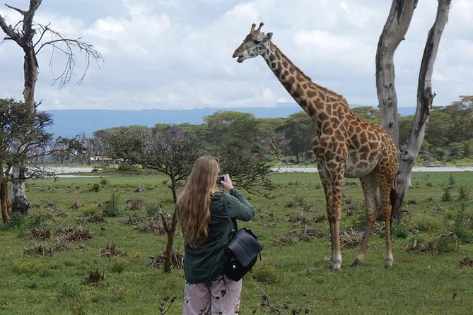 Lake Nakuru National Park: Day Trip From Nairobi - Traveler Reviews and Experiences