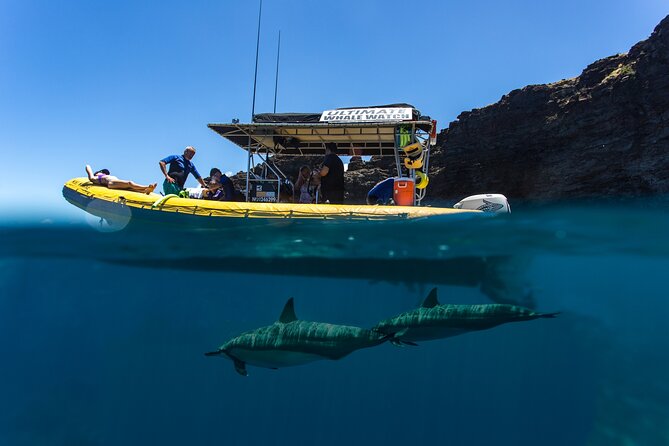Lanai Deluxe Dolphin Adventure & 3 Snorkel Sites - Breathtaking Scenery and Landmarks