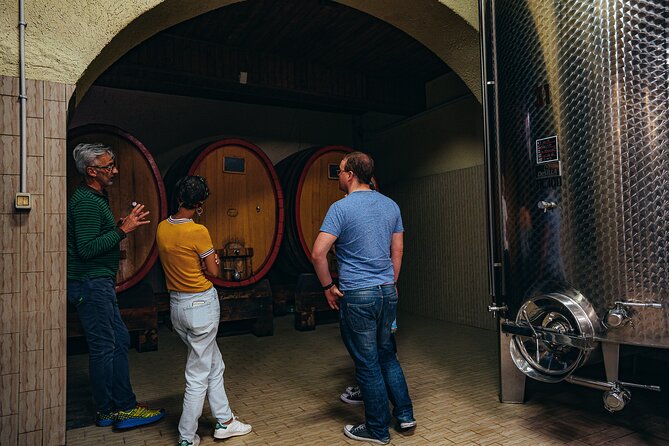 Langhe and Barolo Wine Tour From Turin - Wine Tasting Experience
