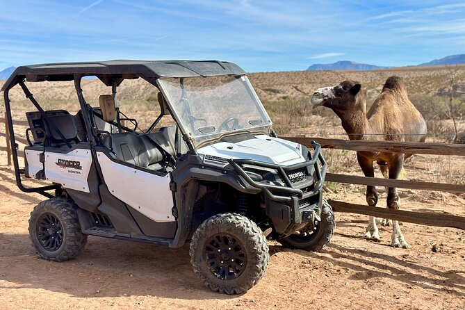 Las Vegas Guided UTV Safari and Zoo Tour - Meeting and Pickup Details