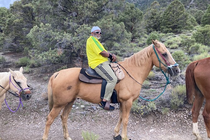 Las Vegas Horseback Riding Adventure - Memorable Family-Friendly Experience